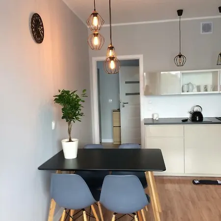 Politechnika Przy Jeziorze 公寓 波兹南